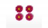  Basil FLOWER , 4 , fuchsia