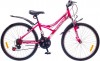  24 Discovery FLINT AM 14G Vbr St --