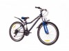  24 Formula FOREST AM 14G  Vbr   St  -