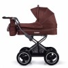   TILLY Family T-181 Brown /1/ MOQ